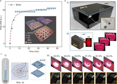41467_2025_60947_Fig5_HTML.jpg 41467_2025_60947_Fig5_HTML.jpg