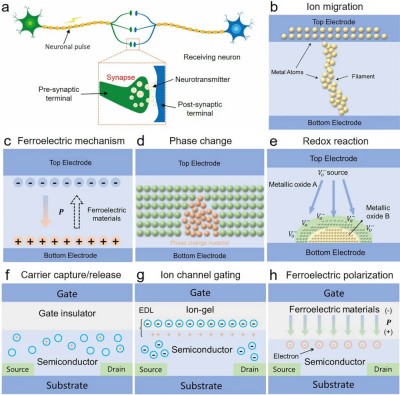 640 (2).jpg 640 (2).jpg