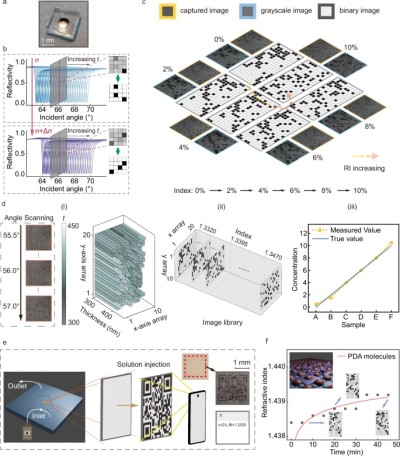 41467_2025_60947_Fig3_HTML.jpg 41467_2025_60947_Fig3_HTML.jpg